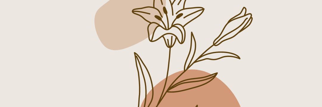 mirebargallo's profile banner image