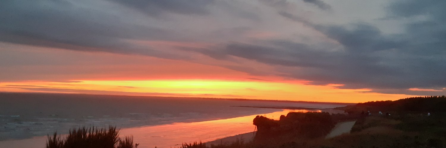 mafred🐖🌾 (Frédéric Masson ) banner