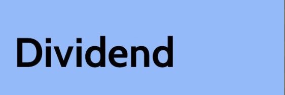 Long term dividend investor banner