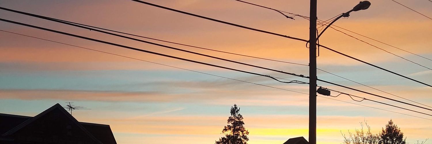 LShn83's profile banner image