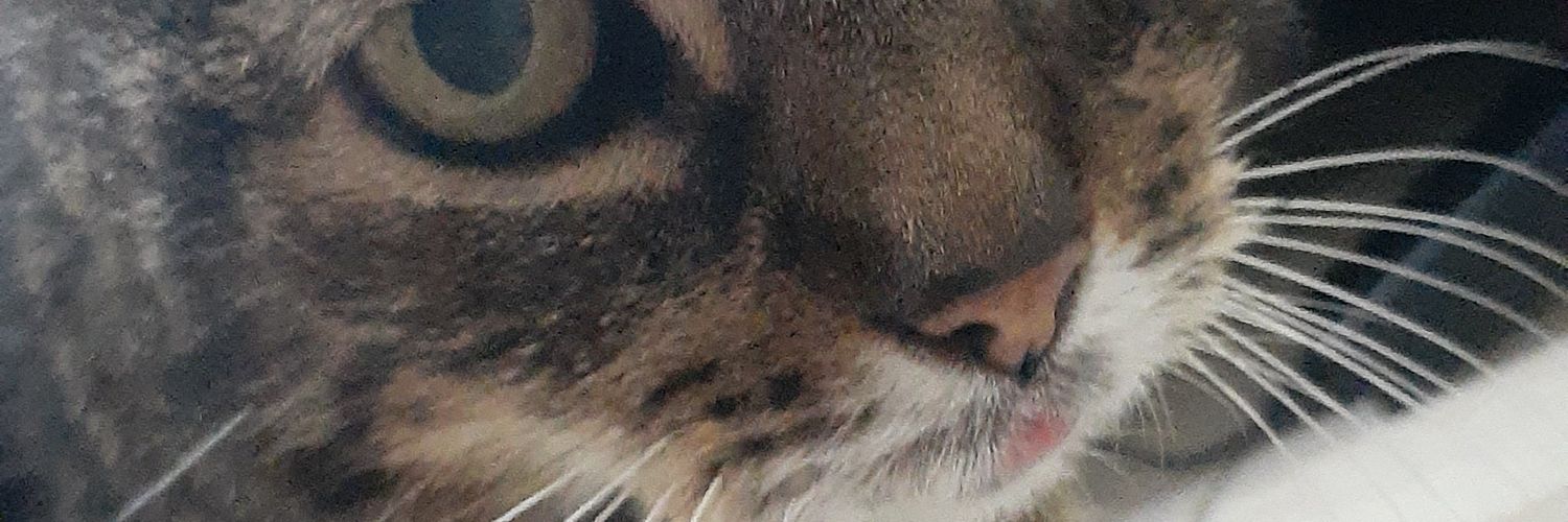 suzzy_popstar's profile banner image