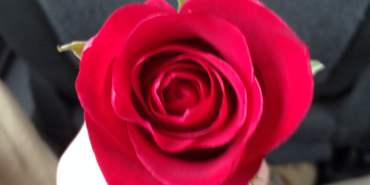 ZackWaddi's profile banner image