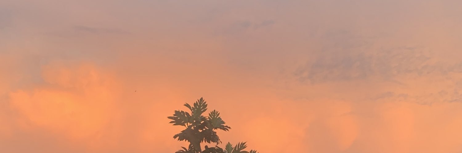 jepripocong's profile banner image