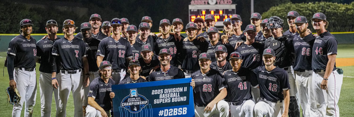 LR BEARS BASEBALL's banner