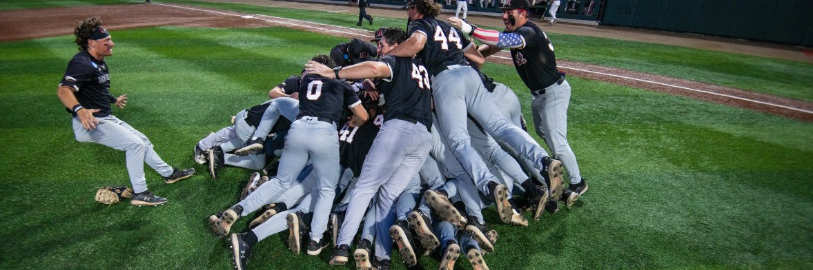LR BEARS BASEBALL banner