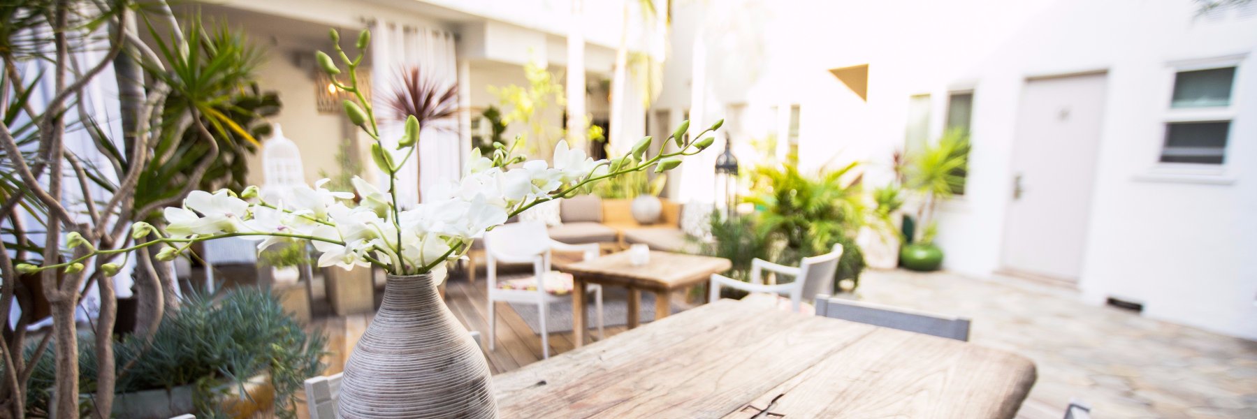 BeverlyTerrace's profile banner image