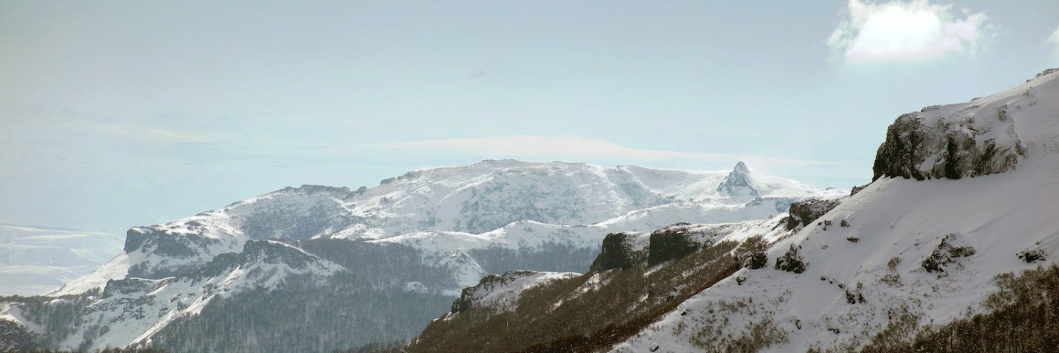 William Williams banner