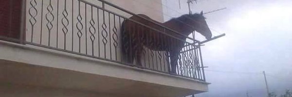 juanjuankkkj Profile Banner