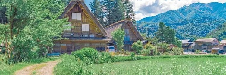 Black Widow and Hawkeye banner