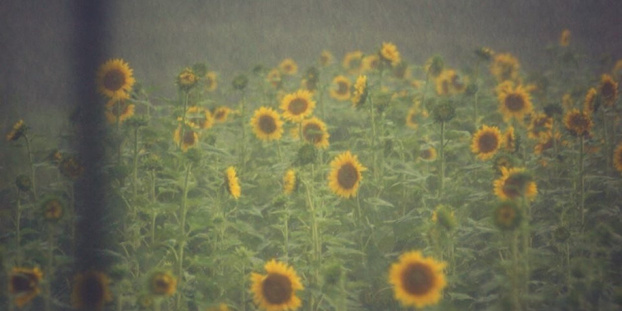 charming_blonde's profile banner image