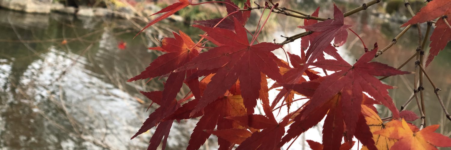 tomo_3201's profile banner image