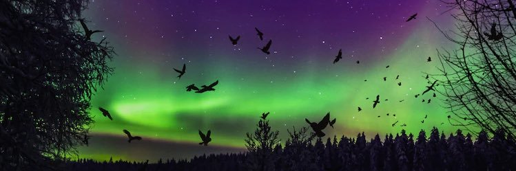 Itsuma_de's profile banner image