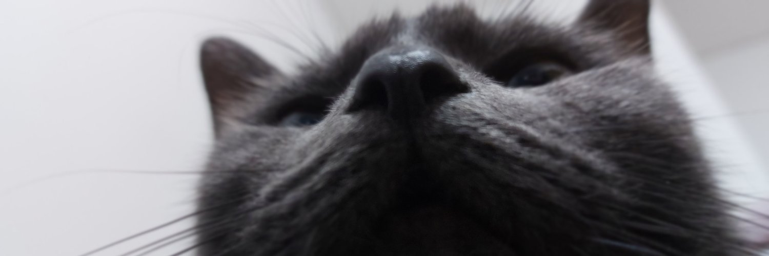 Wemoks's profile banner image