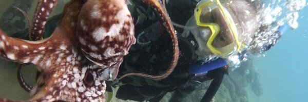 AsmBillQuirk Profile Banner