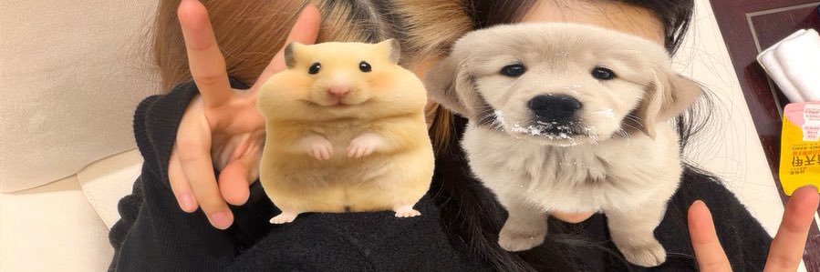 jyobeom's profile banner image