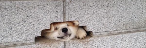 ro_ru_pn's profile banner image