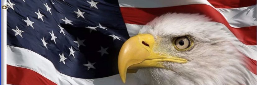 Silda Miralles banner