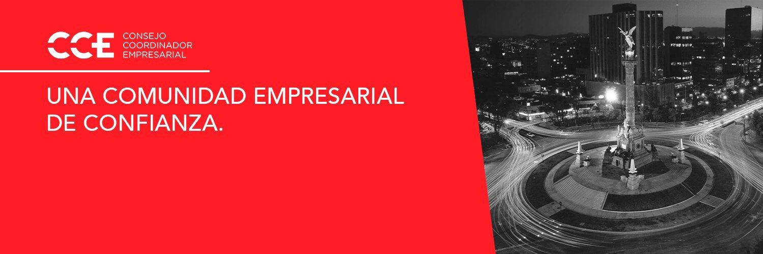 Silvia Dávalos banner