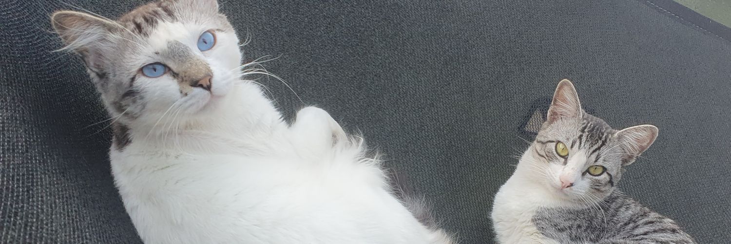 NotLuisOtavioFS's profile banner image