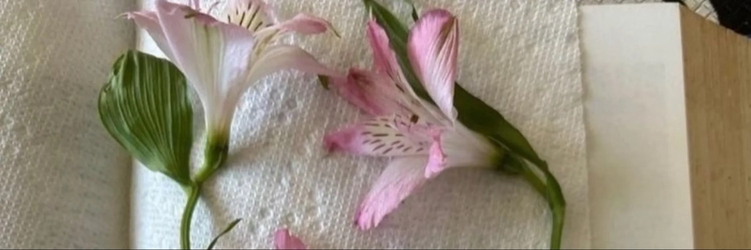 FavourRonke's profile banner image
