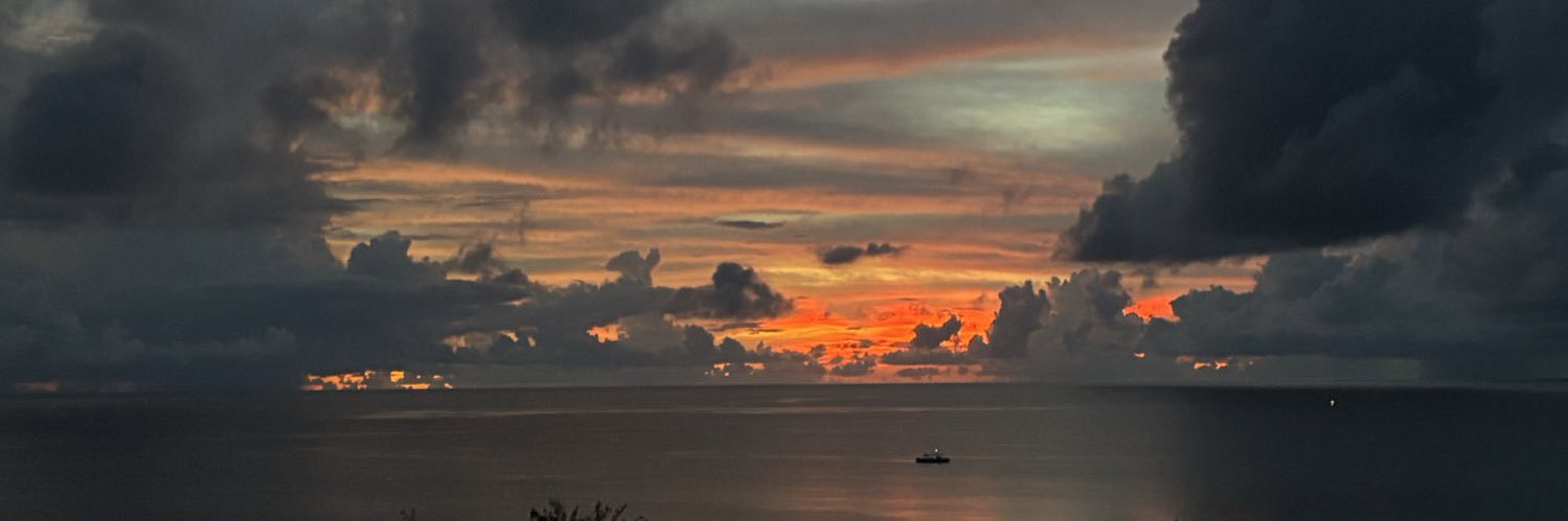 TheDissentNow__'s profile banner image