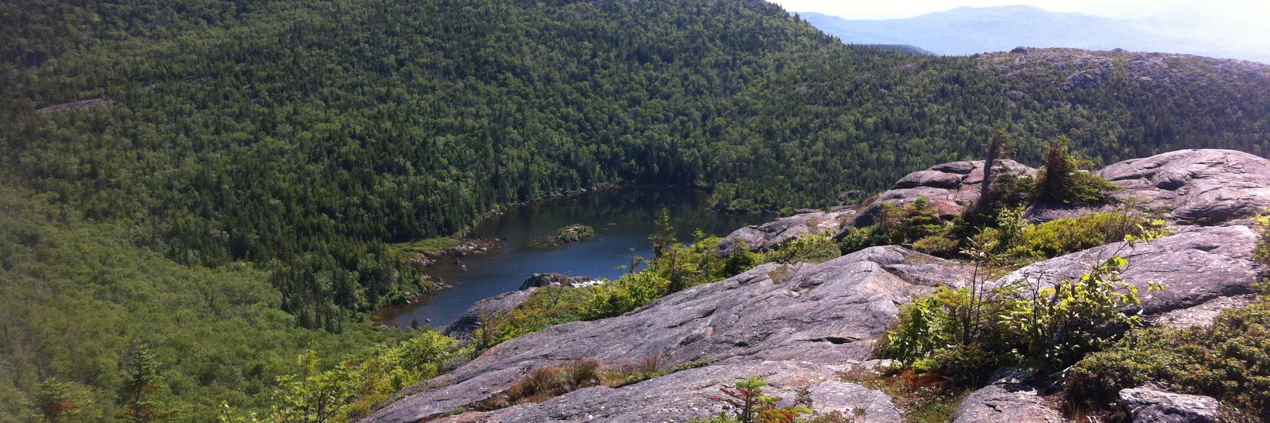 Richard/Lorr Mullins banner