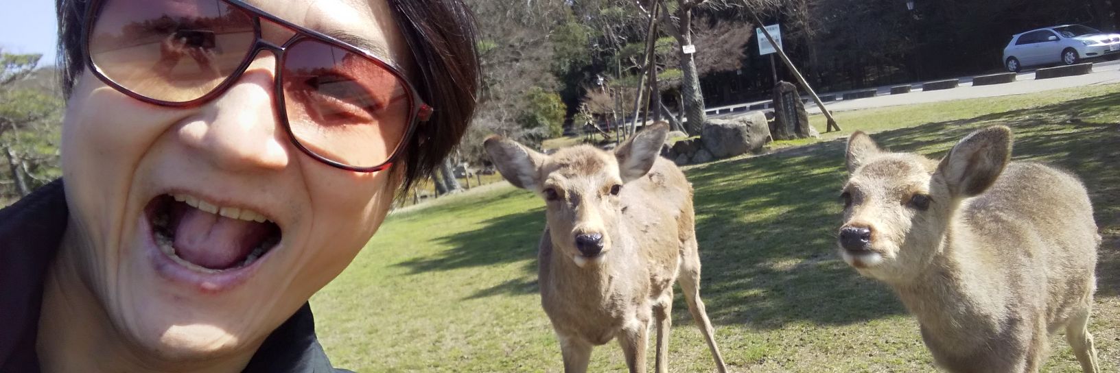 ハローケイスケ banner