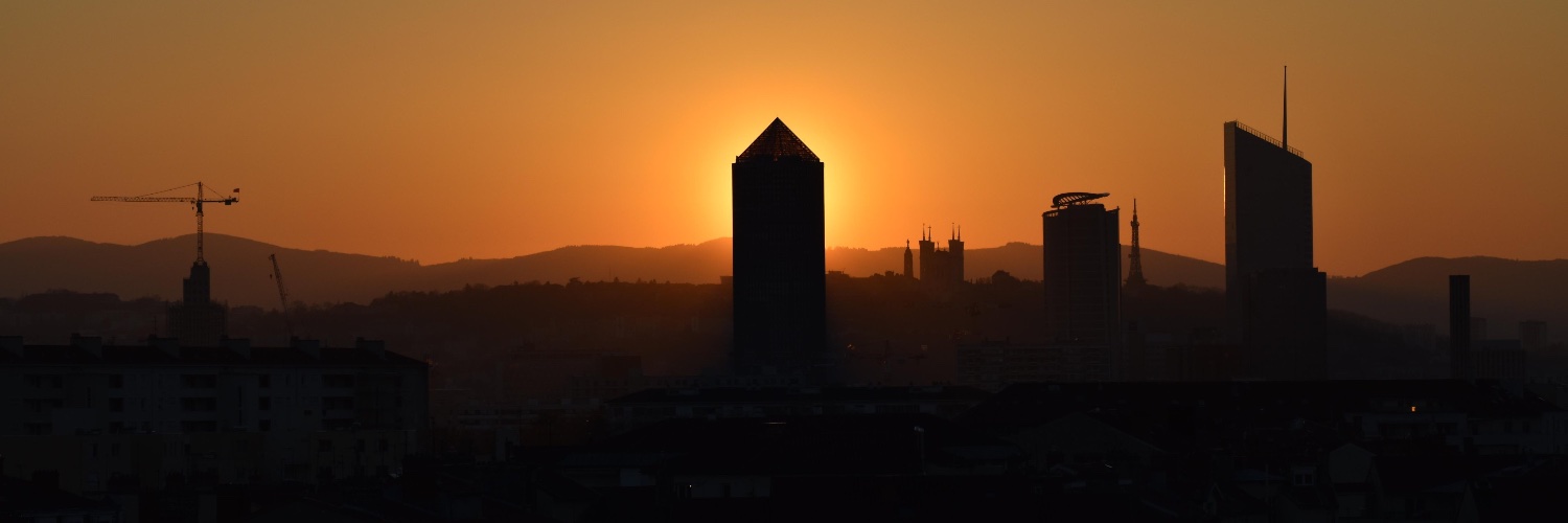 Sylvain Rogelet banner