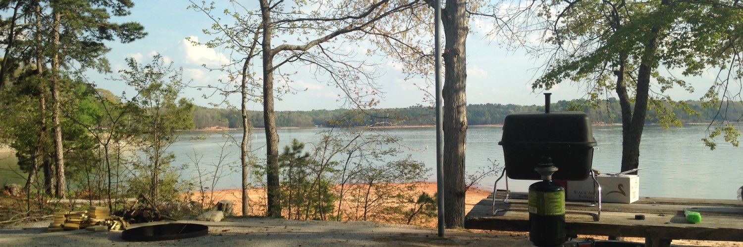 blue_pike's profile banner image