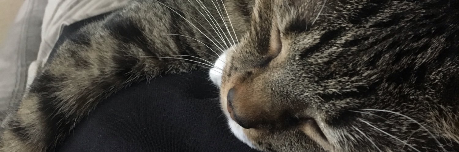 bobthenob's profile banner image