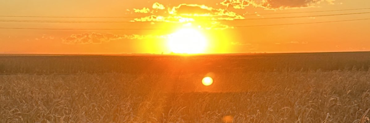 blylescott's profile banner image