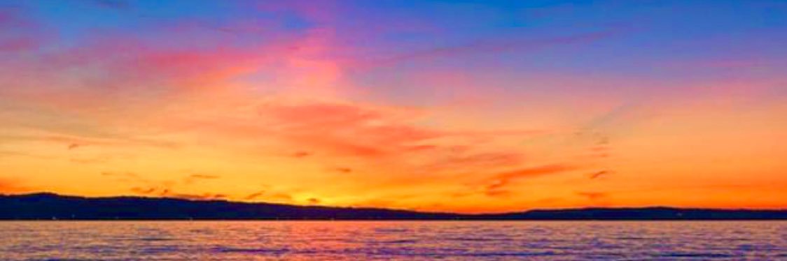 mikelynmichelle's profile banner image