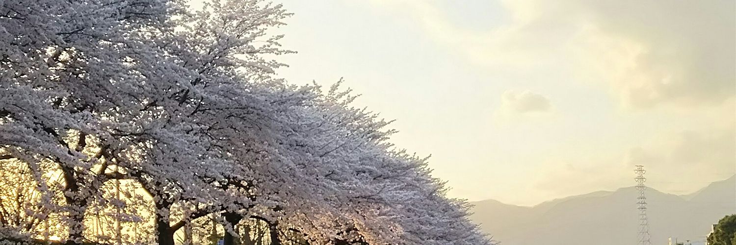 junkanatan's profile banner image