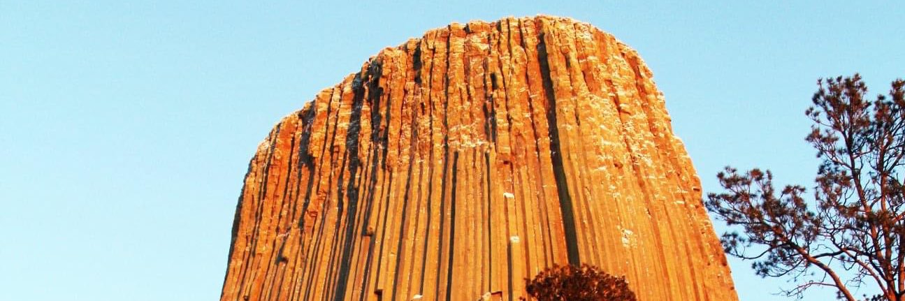 Zach L. Wilson banner