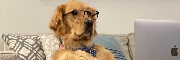 Lorenzough Profile Banner