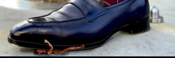 diminuto_leon banner