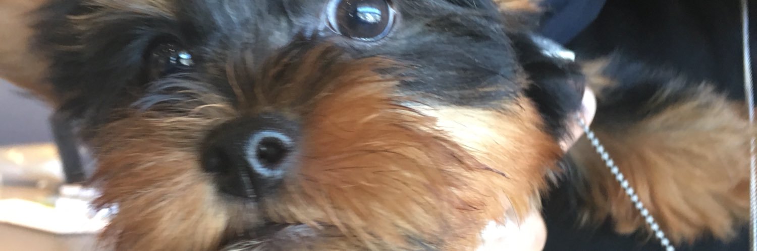 epicebby's profile banner image
