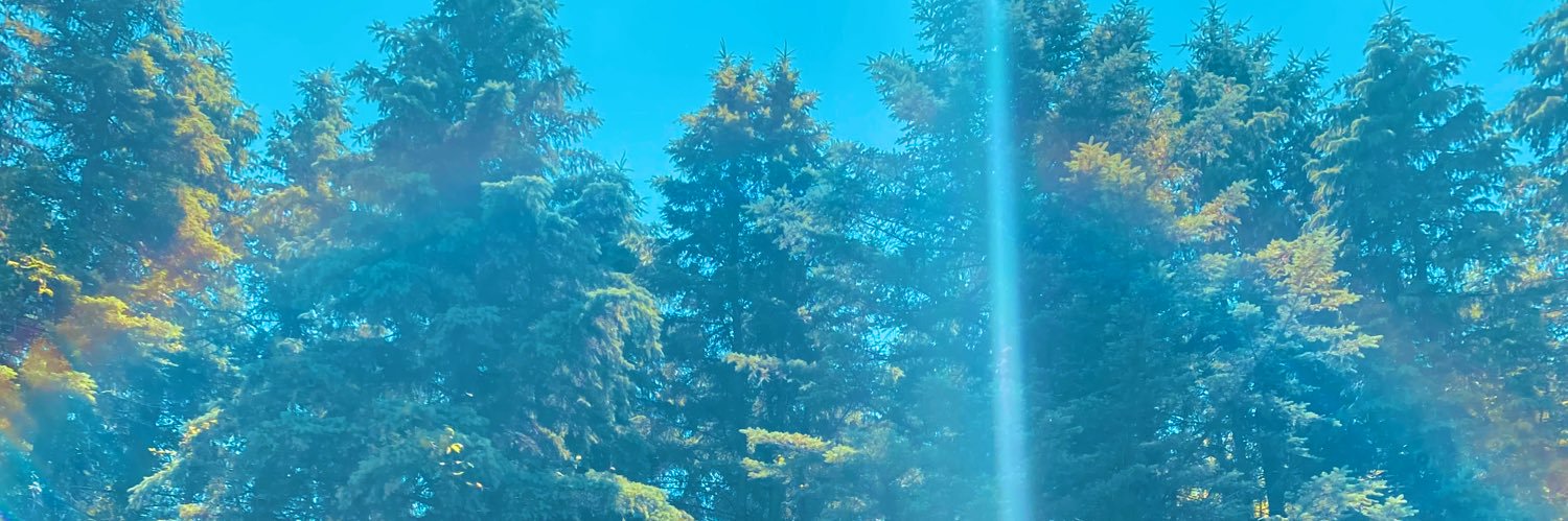 zenjen97's profile banner image