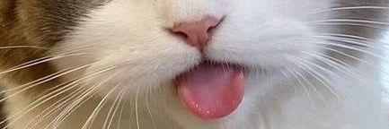 Anyok__'s profile banner image