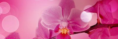 AmandaS_NJ's profile banner image