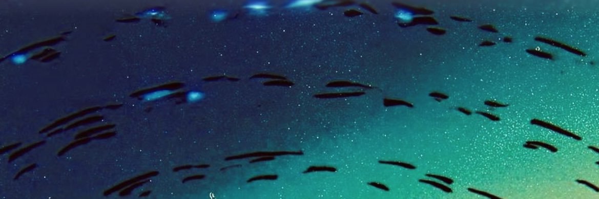 Tuckturnsup's profile banner image