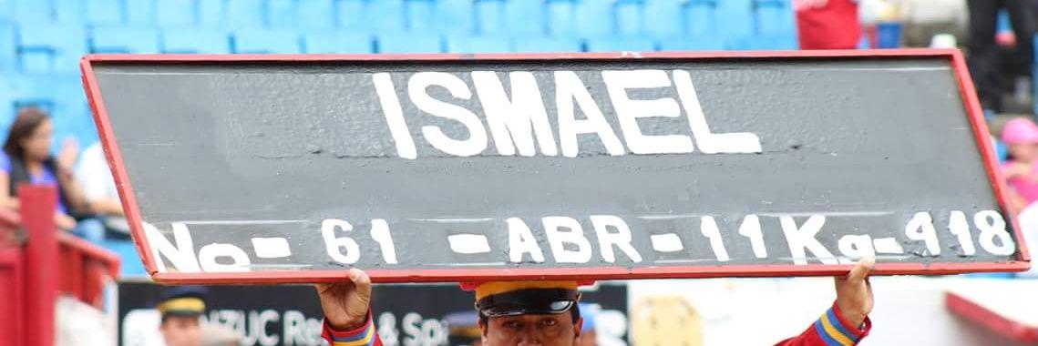 ismael_aranda's profile banner image