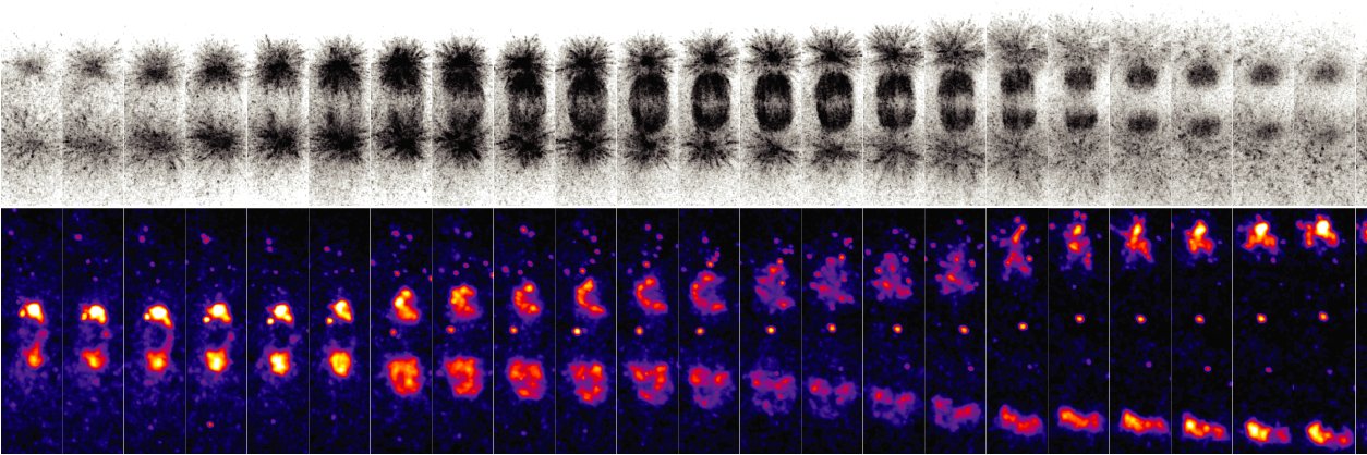 Blatt BioImaging Center banner