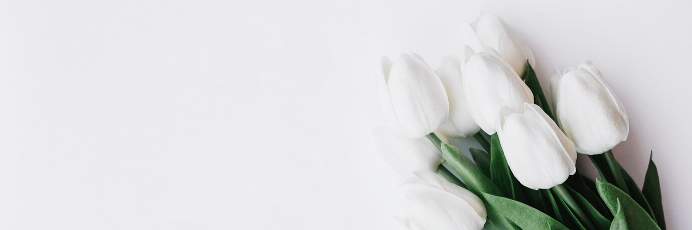 ⟡S's banner