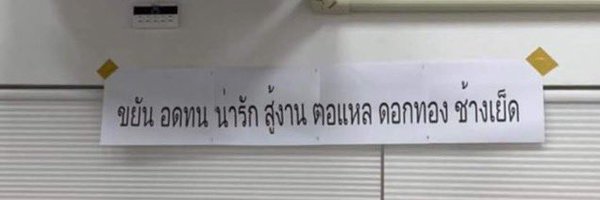 loonyladybug Profile Banner