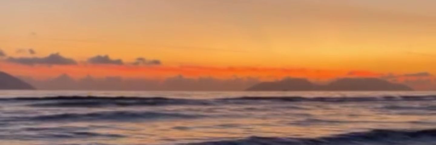 Daniel Fischer. 🤙⚡ banner