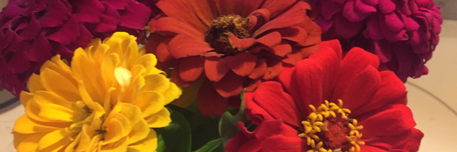 FarmFields's profile banner image