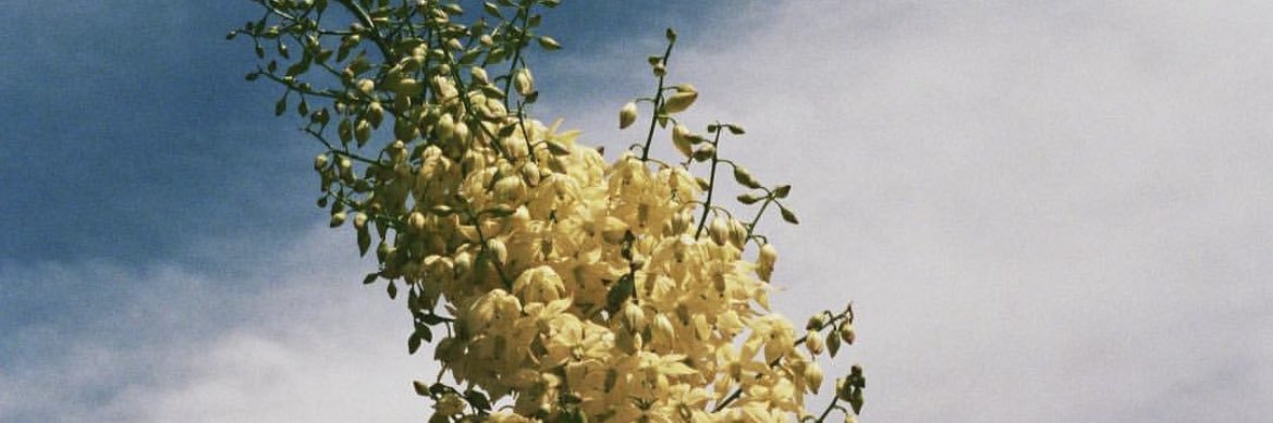 Blake Richardson banner