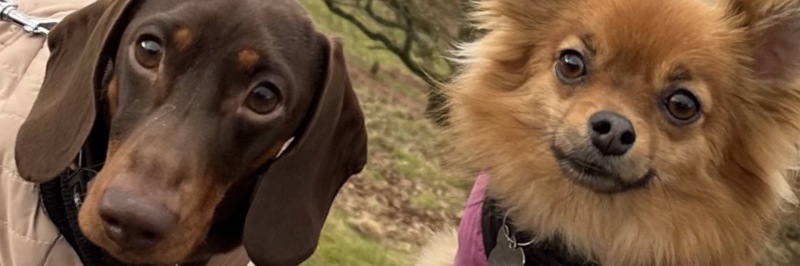 codi_paigexx's profile banner image