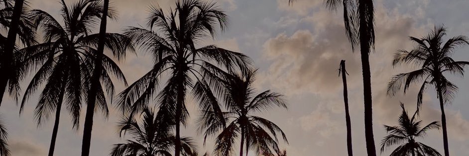 adrianOjeda01's profile banner image